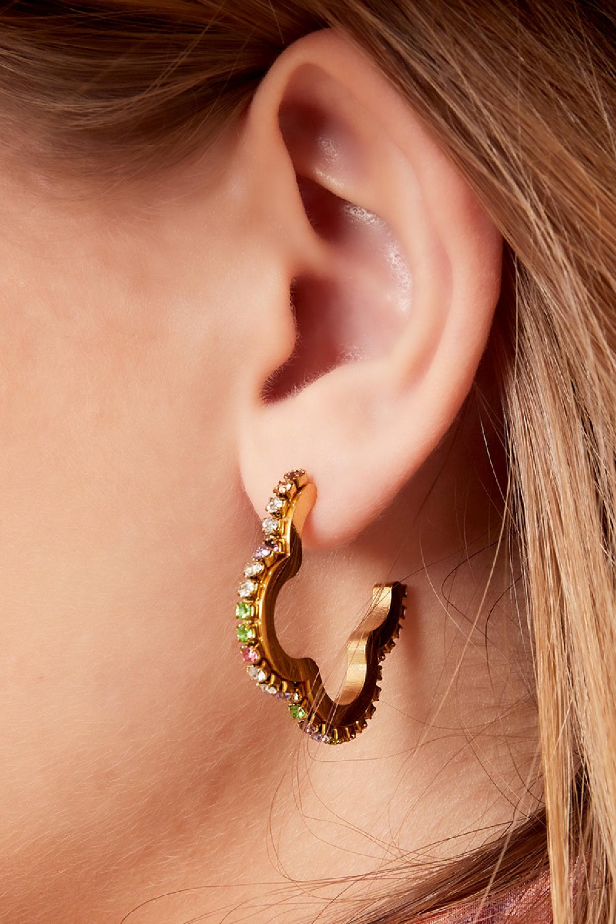 Oorbellen Zirkoon Klaver Zilver Stainless Steel