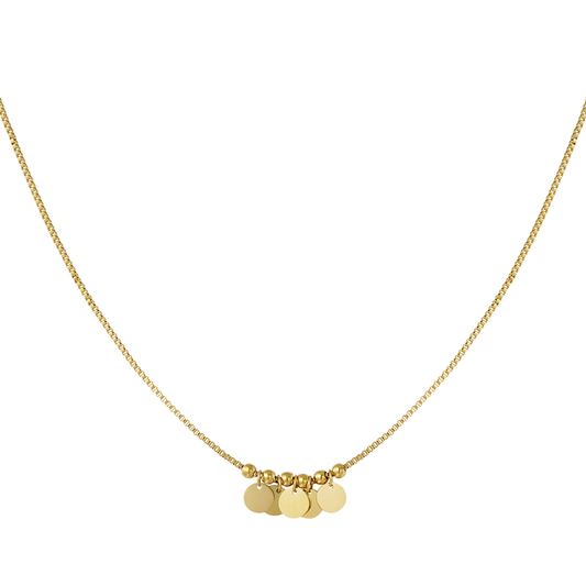 Ketting hangende coins - goud